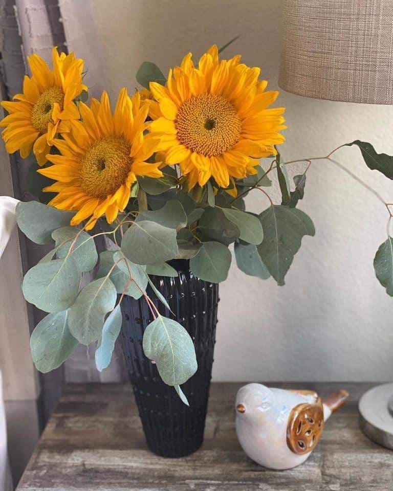 Tử vi ngày 16/8/2022 của 12 cung hoàng đạo